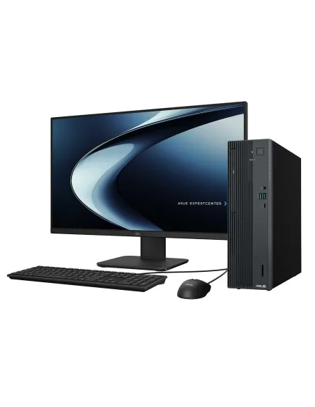 Ordenador Asus ExpertCenter P500 SFF P500SV-31315U0210