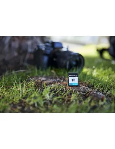 Tarjeta de Memoria Kingston Canvas Go! Plus 1TB