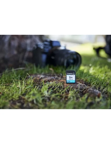 Tarjeta de Memoria Kingston Canvas Go! Plus 1TB