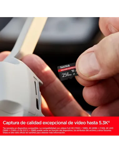 Memorias flash: SanDisk microSD Express 256 GB