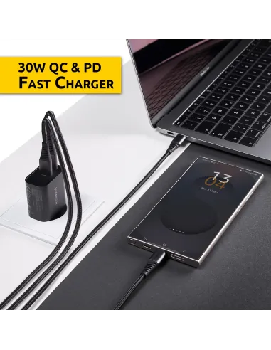 Cargador de Pared W30AC Intenso 7803010