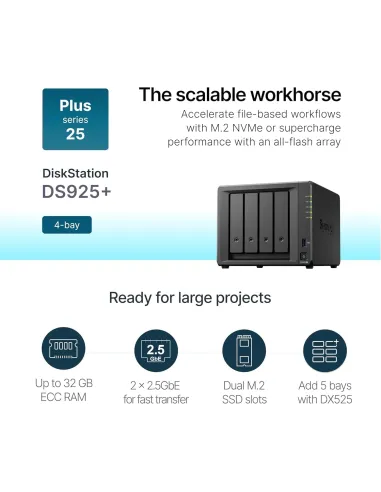 Sistema NAS Synology DS925+