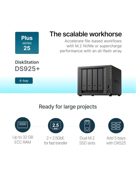 Sistema NAS Synology DS925+