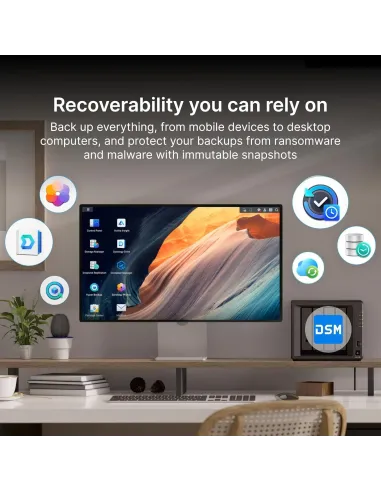 Sistema NAS Synology DS925+