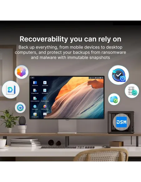 Sistema NAS Synology DS925+