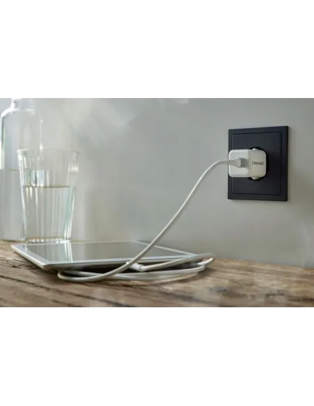 Cargador de Móvil: Intenso 7803062