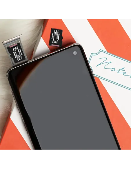 Tarjeta microSD Kingston Canvas Select Plus 256GB