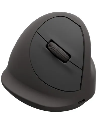 Ratón vertical Fellowes Breyta Plus Negro (M diestro)