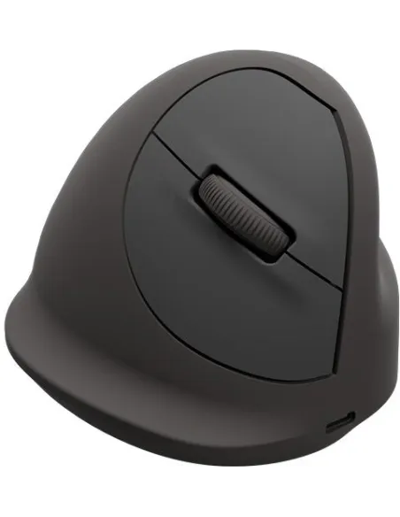 Ratón vertical Fellowes Breyta Plus Negro (M diestro)