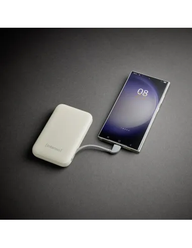 Baterías externas: Intenso 7333031 Powerbank S10000 20 W