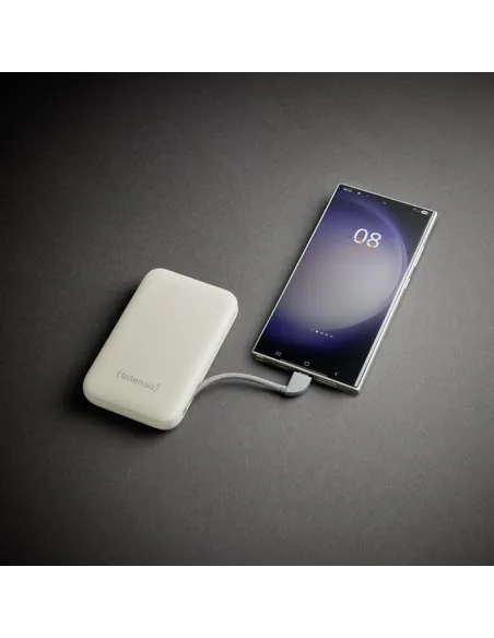 Baterías externas: Intenso 7333031 Powerbank S10000 20 W