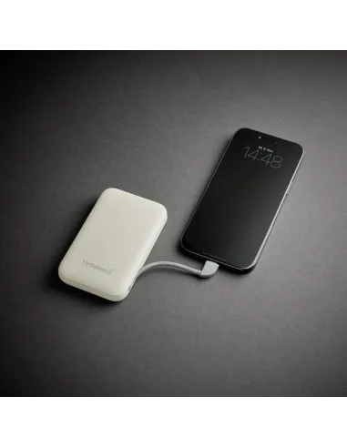 Baterías externas: Intenso 7333031 Powerbank S10000 20 W