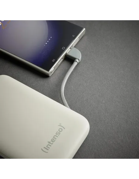 Baterías externas: Intenso 7333031 Powerbank S10000 20 W