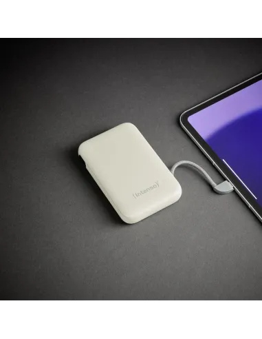 Baterías externas: Intenso 7333031 Powerbank S10000 20 W