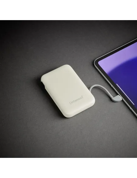 Baterías externas: Intenso 7333031 Powerbank S10000 20 W