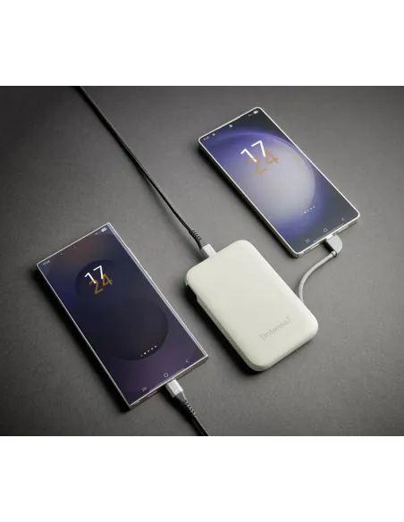 Baterías externas: Intenso 7333031 Powerbank S10000 20 W