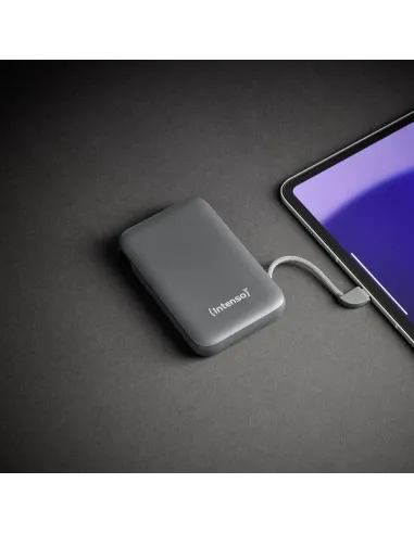 Baterías externas: Intenso 7332034