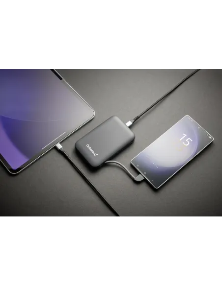 Baterías externas: Intenso 7332034