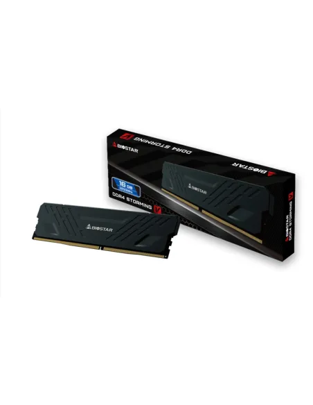 Biostar Storming V DDR4 16 GB 3200 MHz con Disipador
