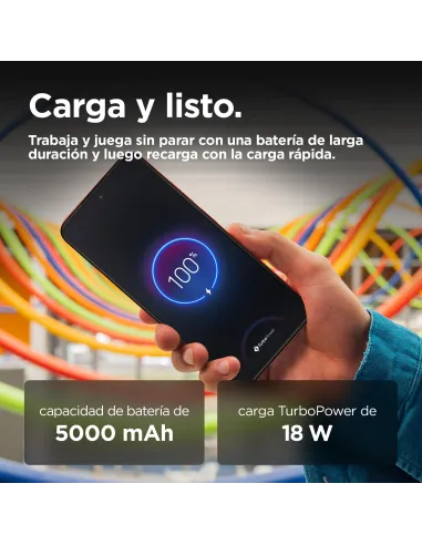 Móvil: Motorola moto g35 5G 8/256GB Guava Red