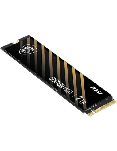 Disco Duro SSD MSI SPATIUM M461 2TB