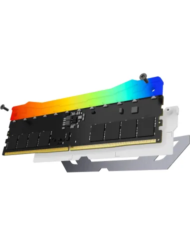 Kingston FURY Renegade RGB DDR5 24GB (1×24GB) 8400MT/s CL40