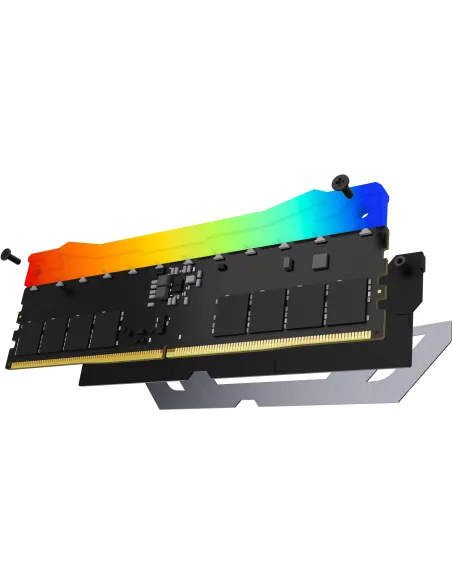 Kingston FURY Renegade RGB DDR5 24GB 8400 MT/s CL40 Negro
