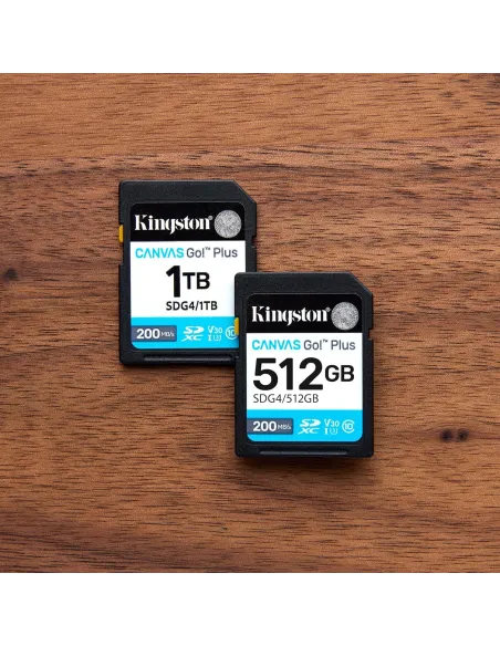 Kingston Technology Canvas Go Plus Gen 4 SDG4/64GB UHSI U3 V30 Negro