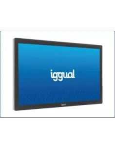 iggual IGG320310 Pantalla de Señalización FHD 23.8" Android-MPRPIZ0115