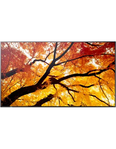 Sharp MultiSync® M982 98" Panel Plano Interactivo 4K