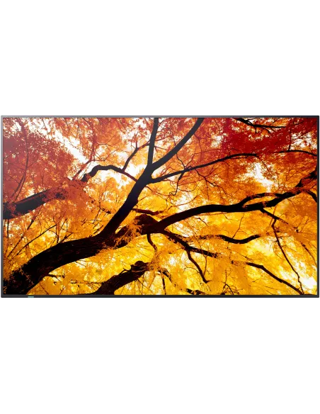 Sharp MultiSync® M982 98" Panel Plano Interactivo 4K