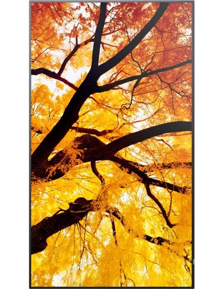 Pantalla señalización: Sharp MultiSync M982 98" 4K