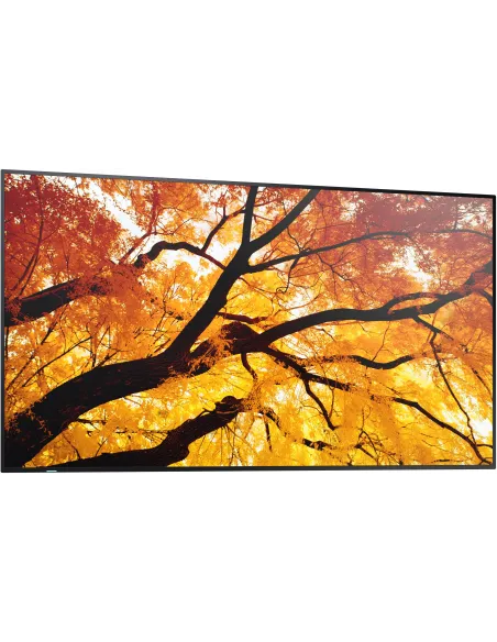 Pantalla señalización: Sharp MultiSync M982 98" 4K