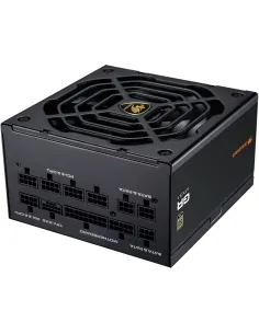 COUGAR GR 1000W 80 PLUS Gold ATX 3.1 Totalmente Modular-ICAFA70476