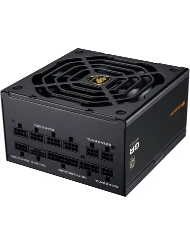 COUGAR GR 1000W 80 PLUS Gold ATX 3.1 Totalmente Modular