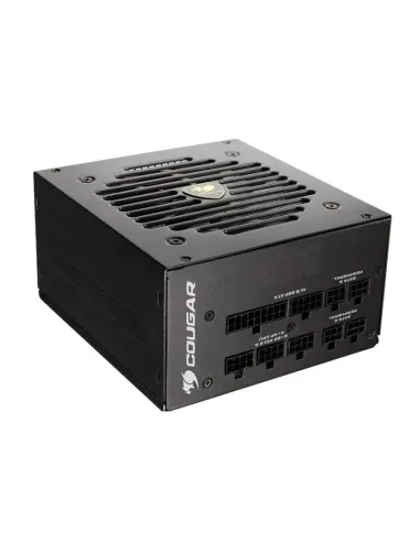 Bundle Cougar FV270 RGB y GEX PRO 750 ATX 3.1