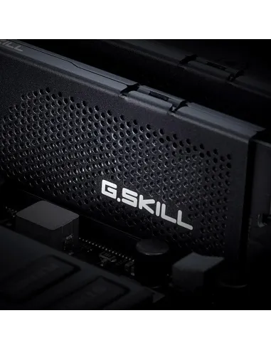 Memoria RAM G.SKILL Flare X5 F5-6000J3636F16GX2-FX5
