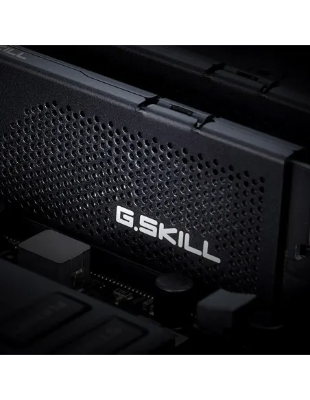 Memoria RAM G.SKILL Flare X5 F5-6000J3636F16GX2-FX5