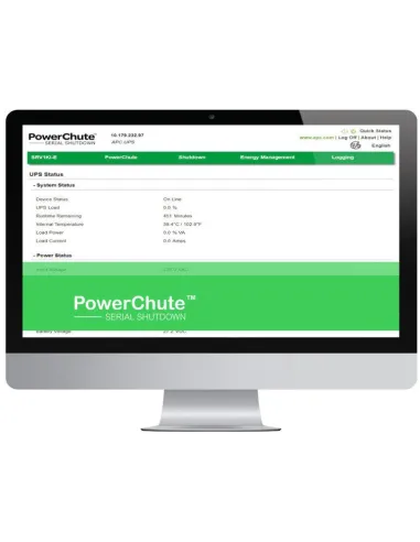 SAI Interactivo Sinusoidal APC Back UPS Pro BR1200SI 1200 VA