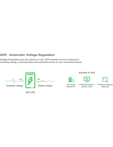 SAI Interactivo Sinusoidal APC Back UPS Pro BR1200SI 1200 VA