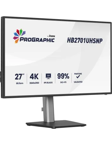 Monitor KVM 27" 4K Iiyama ProGraphic HB2701UHSNP-B1 USB-C