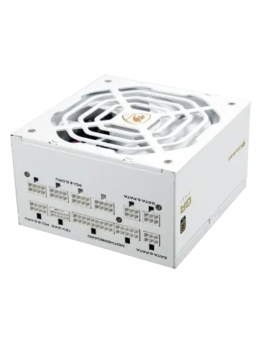 Cougar GR 1000W Snow 80 PLUS Gold ATX 3.1 PCIe 5.1