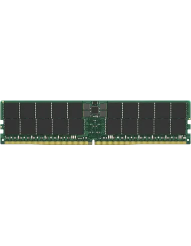 Memoria RAM DDR5 RDIMM Kingston Technology KSM56R46BD4-64HA