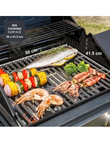 Barbacoa de Gas  2 Quemadores Black+Decker BXOG7200E