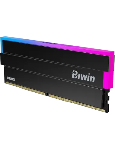 Memoria RAM Biwin Black Opal DW100 DDR5 RGB 48GB (2x24GB)