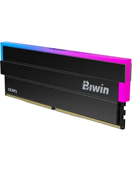 Memoria RAM Biwin Black Opal DW100 DDR5 RGB 48GB (2x24GB)