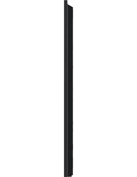Pantalla interactiva 65 pulgadas iiyama ProLite T6529AS-B1AG