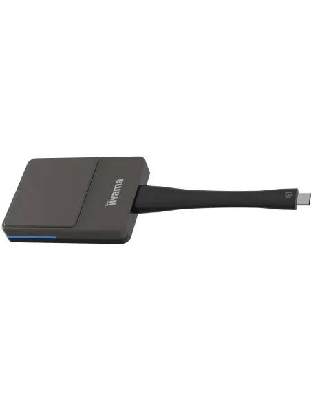 Iiyama WP D002C Dongle