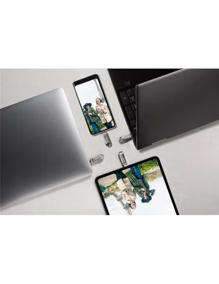 Pendrive USB-C SanDisk Ultra Luxe 256 GB Plata