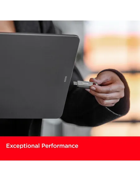 Pendrive USB-C SanDisk Ultra Luxe 256 GB Plata